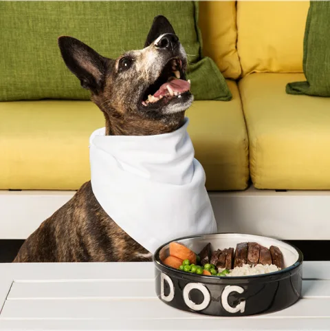 Pooch Menus